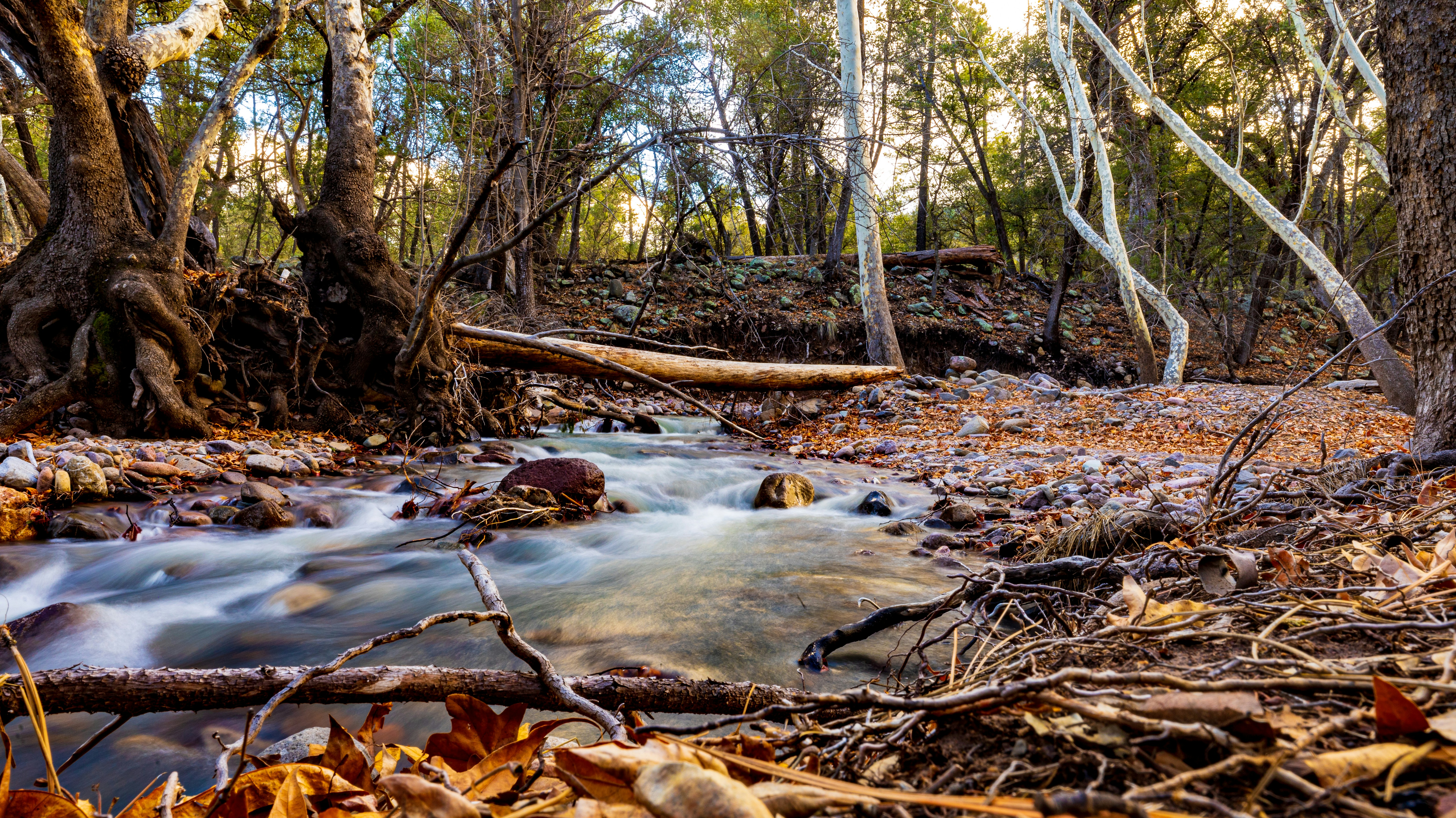 Photo by lancetraveler60