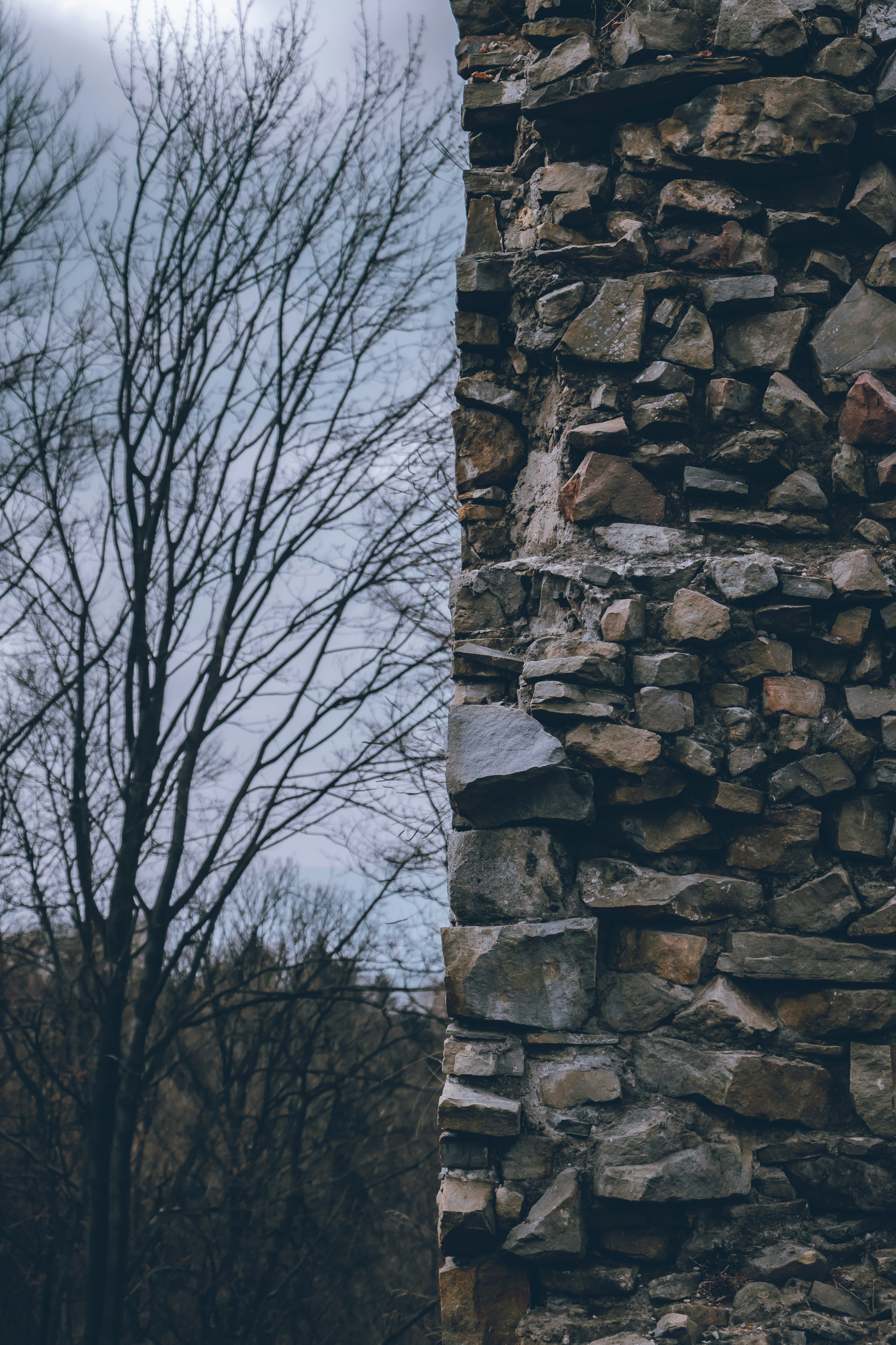 Photo by jakubpabis