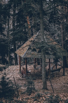 A wooden gazebo is nestled among tall trees in a forest. The ground is covered with fallen leaves, and a couple of benches are positioned inside the gazebo. A trash bin stands nearby. The area is enclosed by a wire fence.