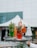 A tray holds an assortment of colorful drinks in glasses garnished with fruits and mint leaves. Each beverage is uniquely vibrant, featuring layered colors and striped straws. The background shows a blurred outdoor setting with a tent and greenery.