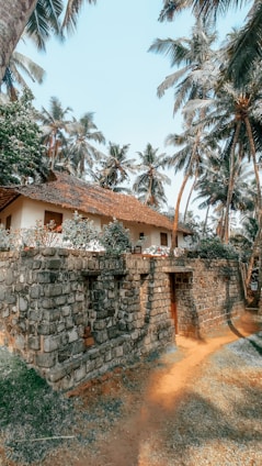 Cozy rustic finca with stone walls and olive trees under a clear blue sky.