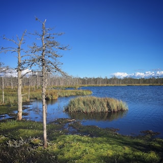 A serene landscape with blue skies and a calm lake.