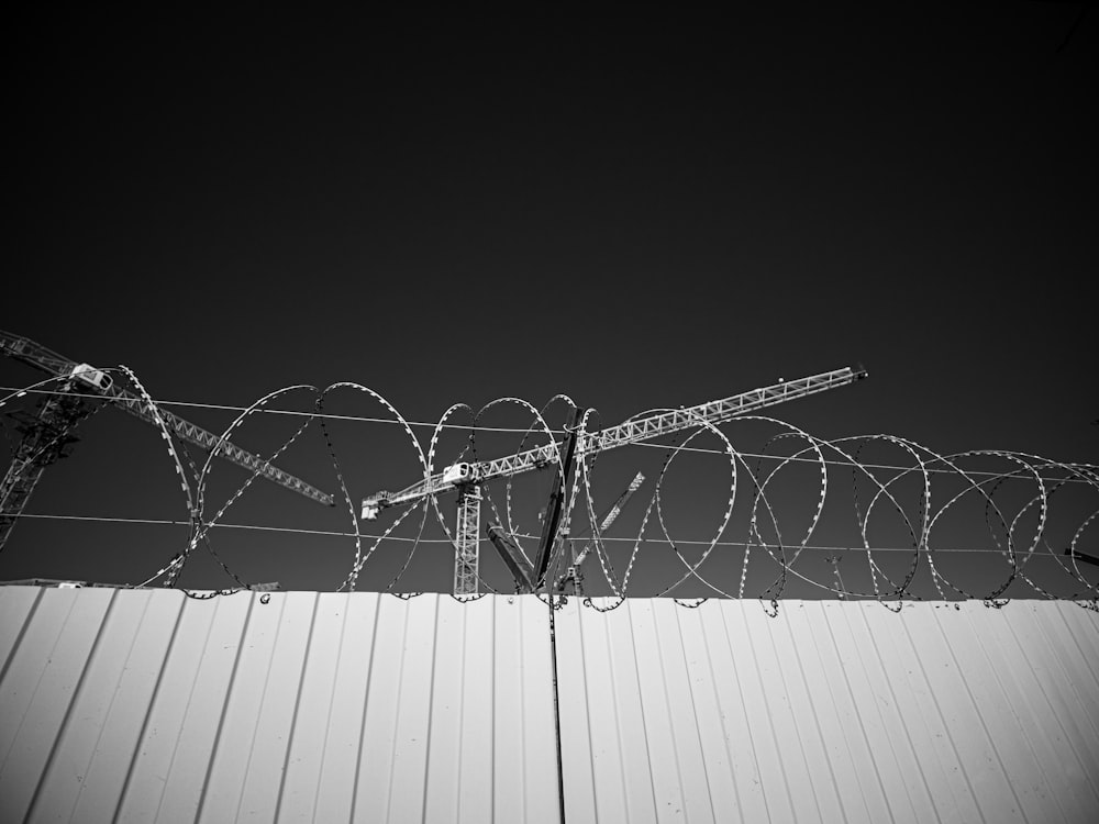 a black and white photo of barbed wire