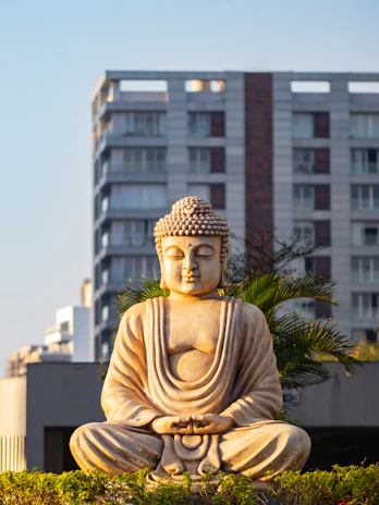A large stone statue of Buddha is seated in a meditative pose, situated in front of a modern multi-story building. The statue is surrounded by lush green plants, and the scene is bathed in warm sunlight.