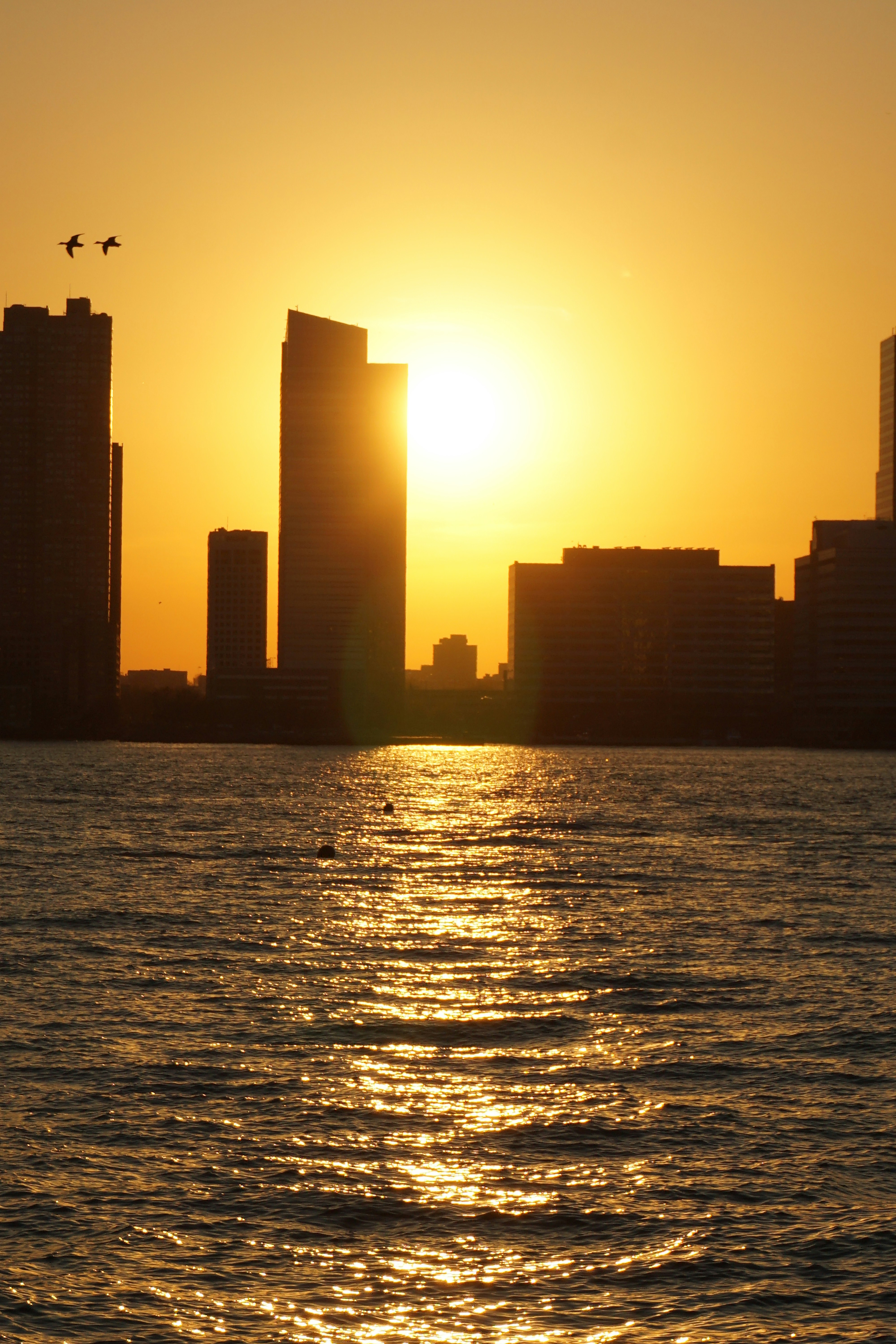 Photo by frolicsomefairy