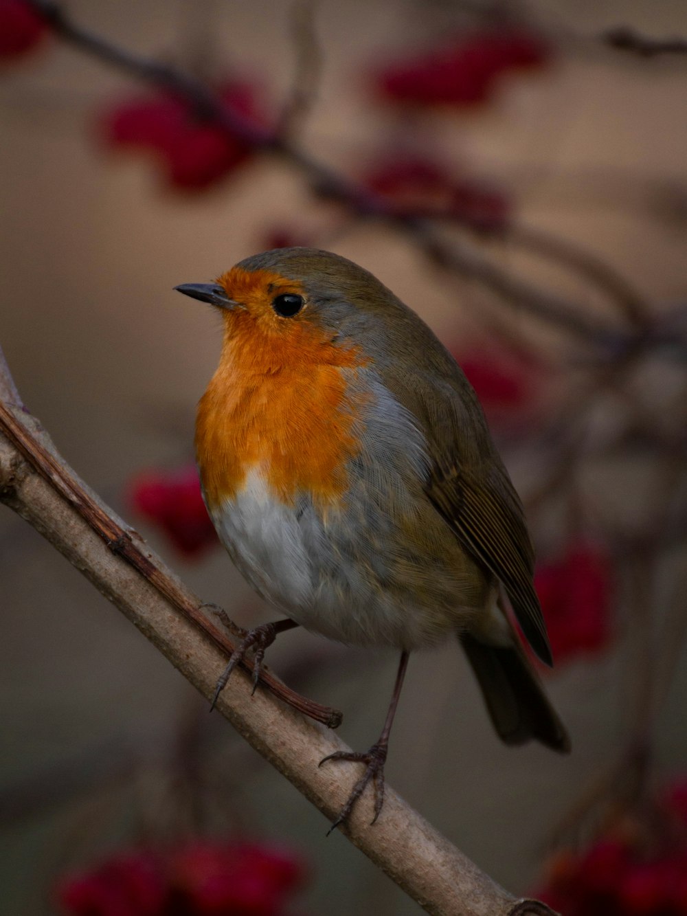 a small bird sitting on a branch of a tree