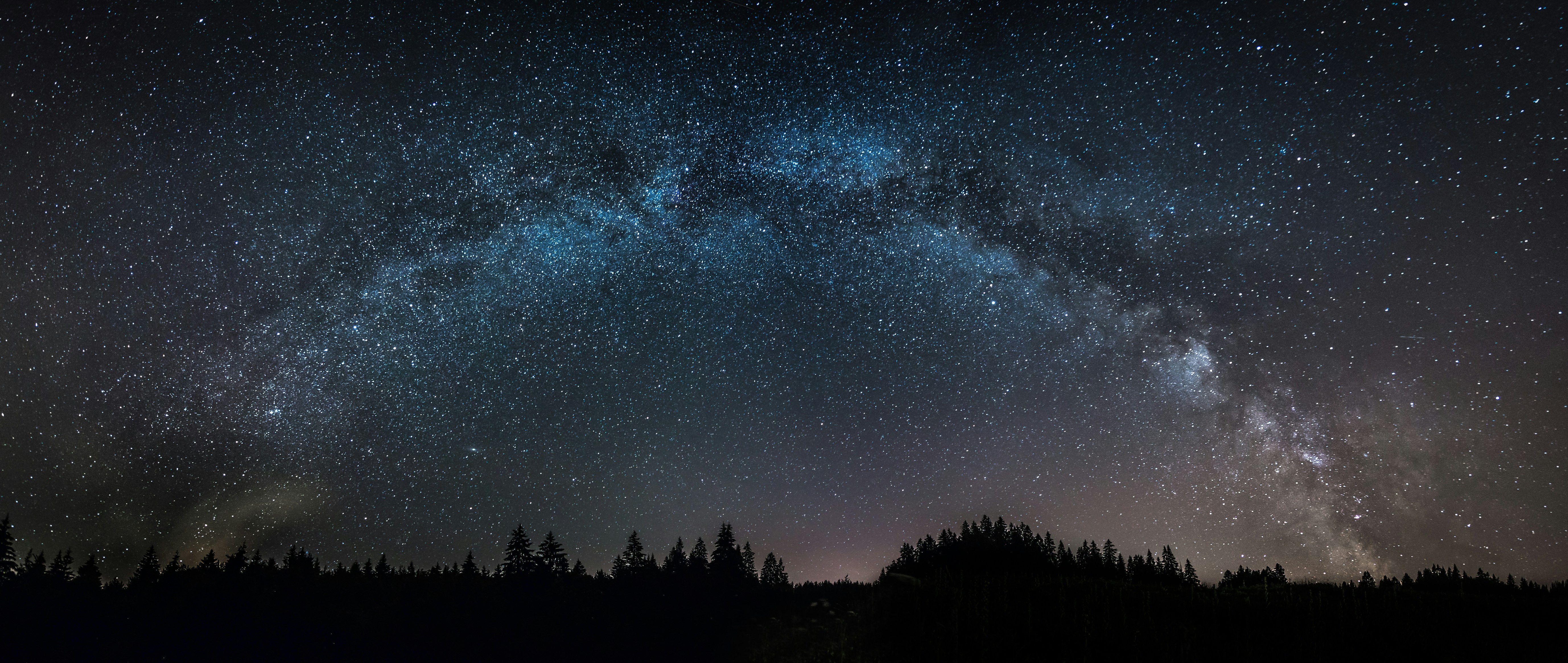 the night sky is filled with stars and trees