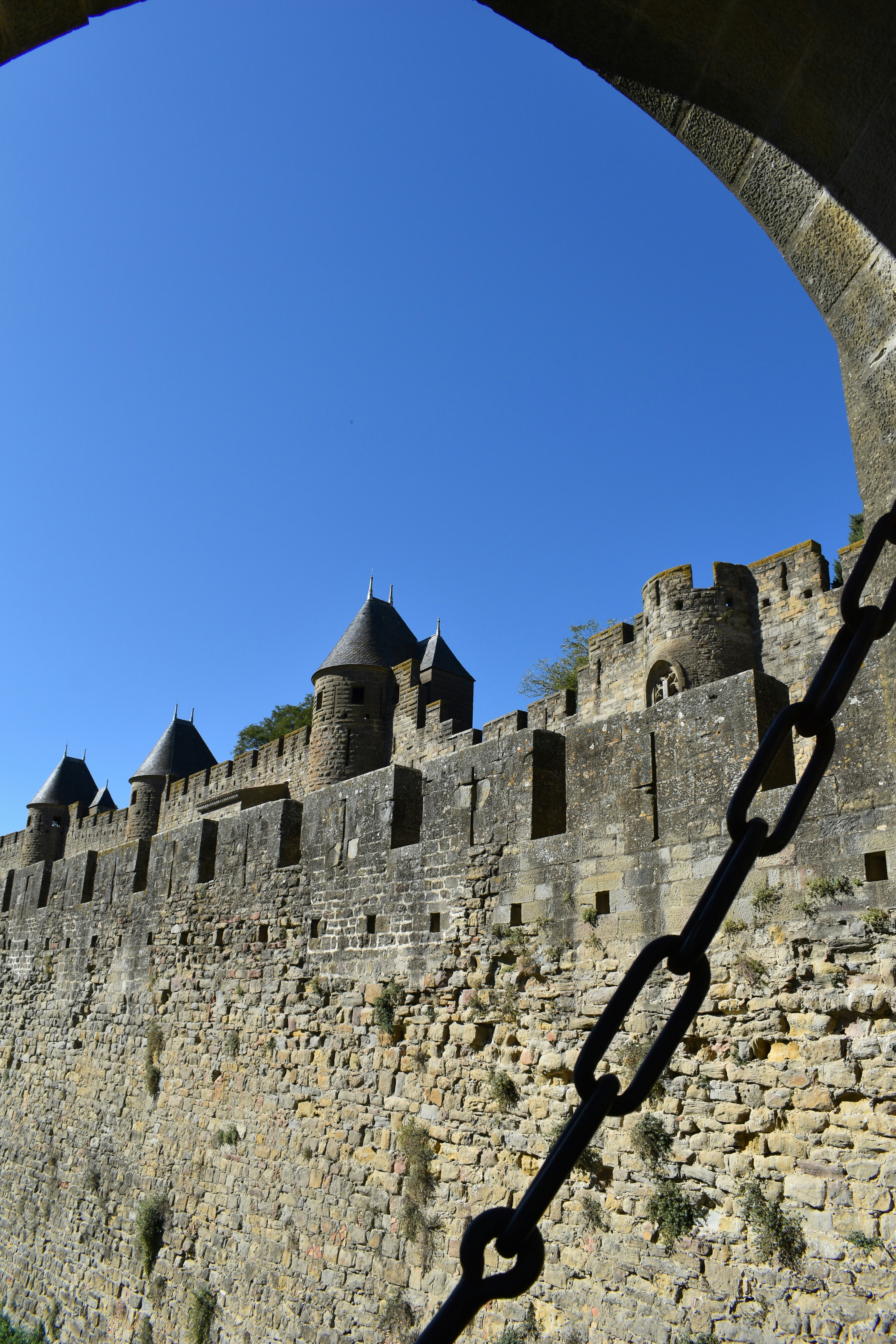 Photo by purplelune9