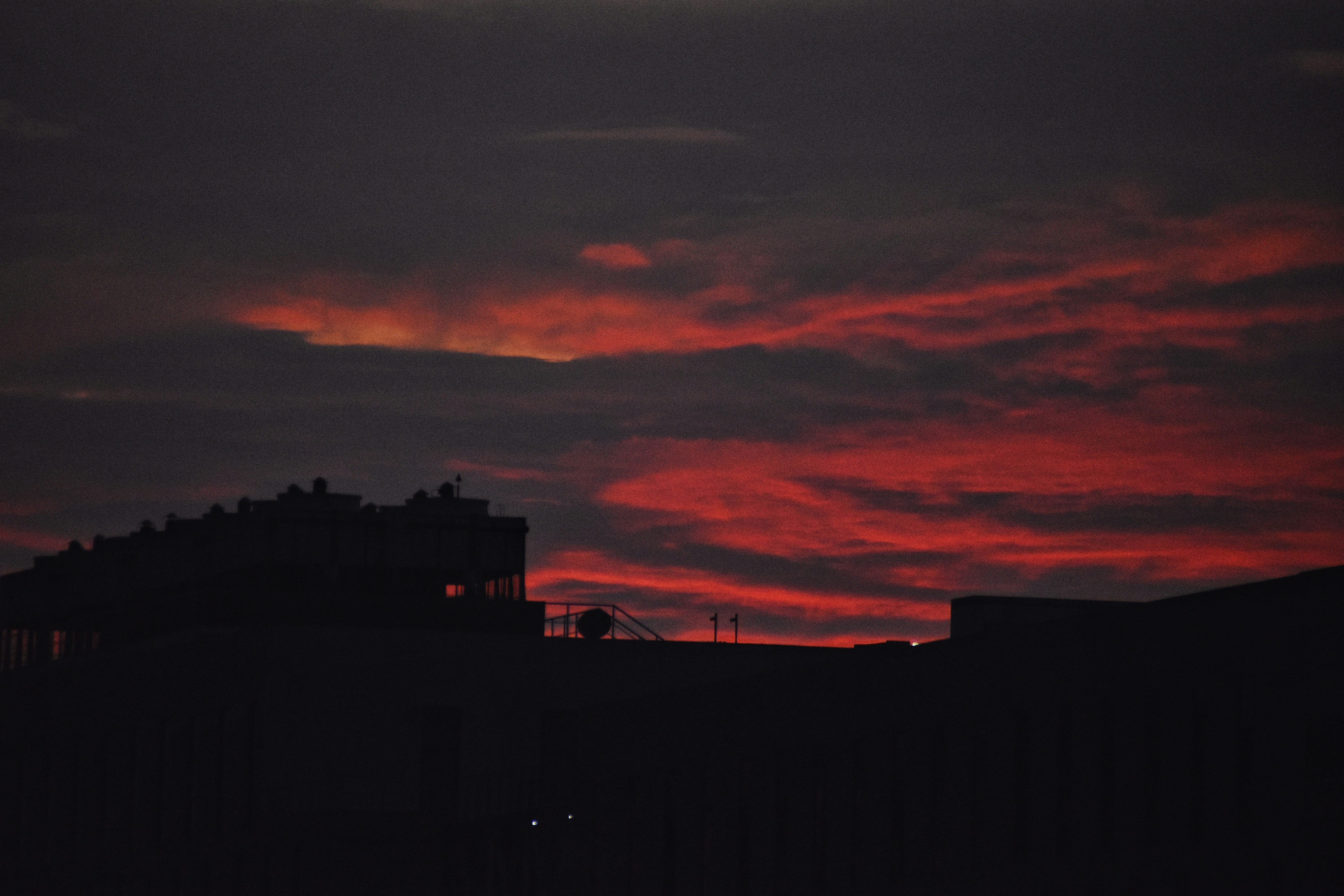 Photo by purplelune9