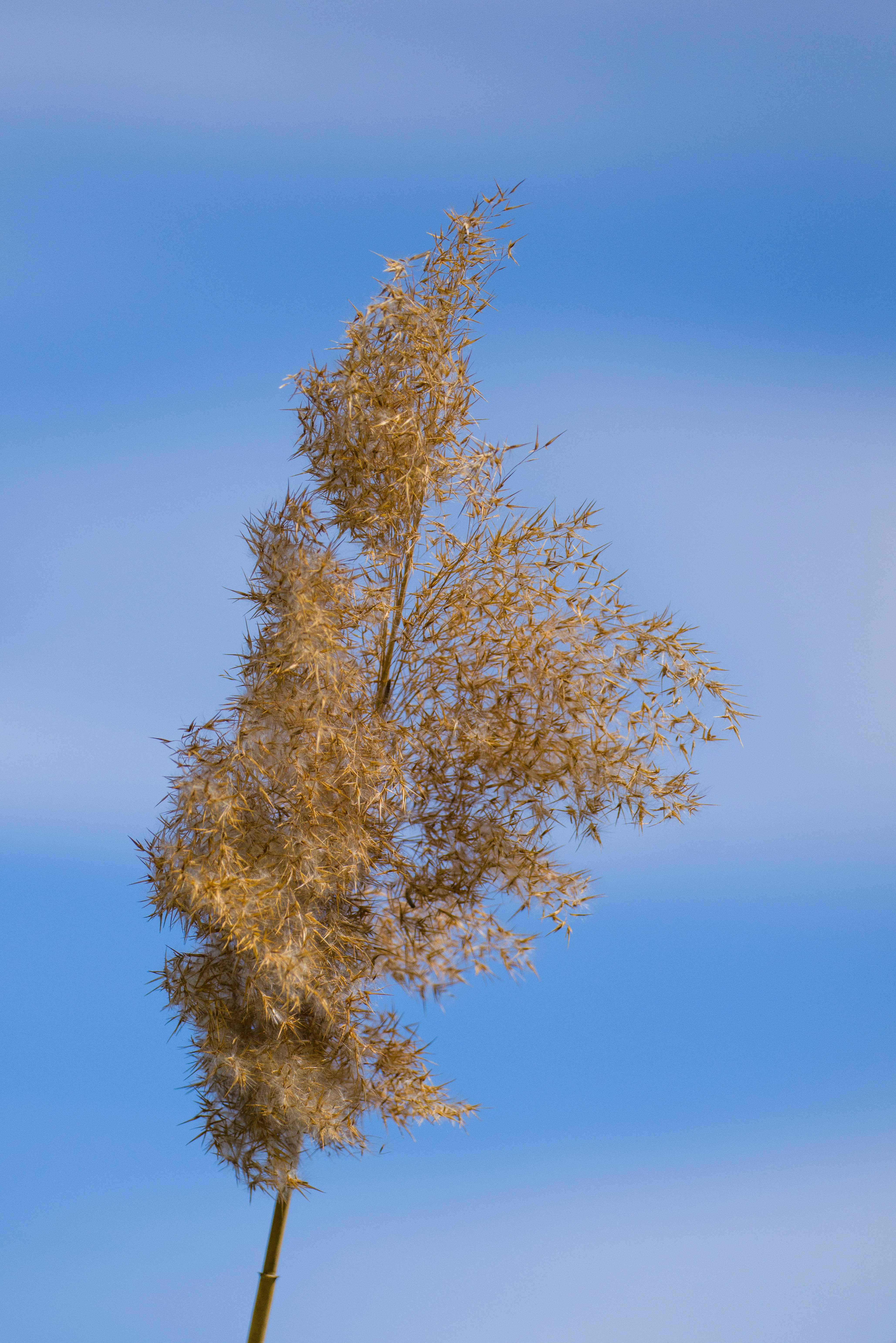 Photo by georgeiermann