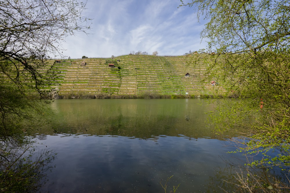 a body of water surrounded by grass and trees