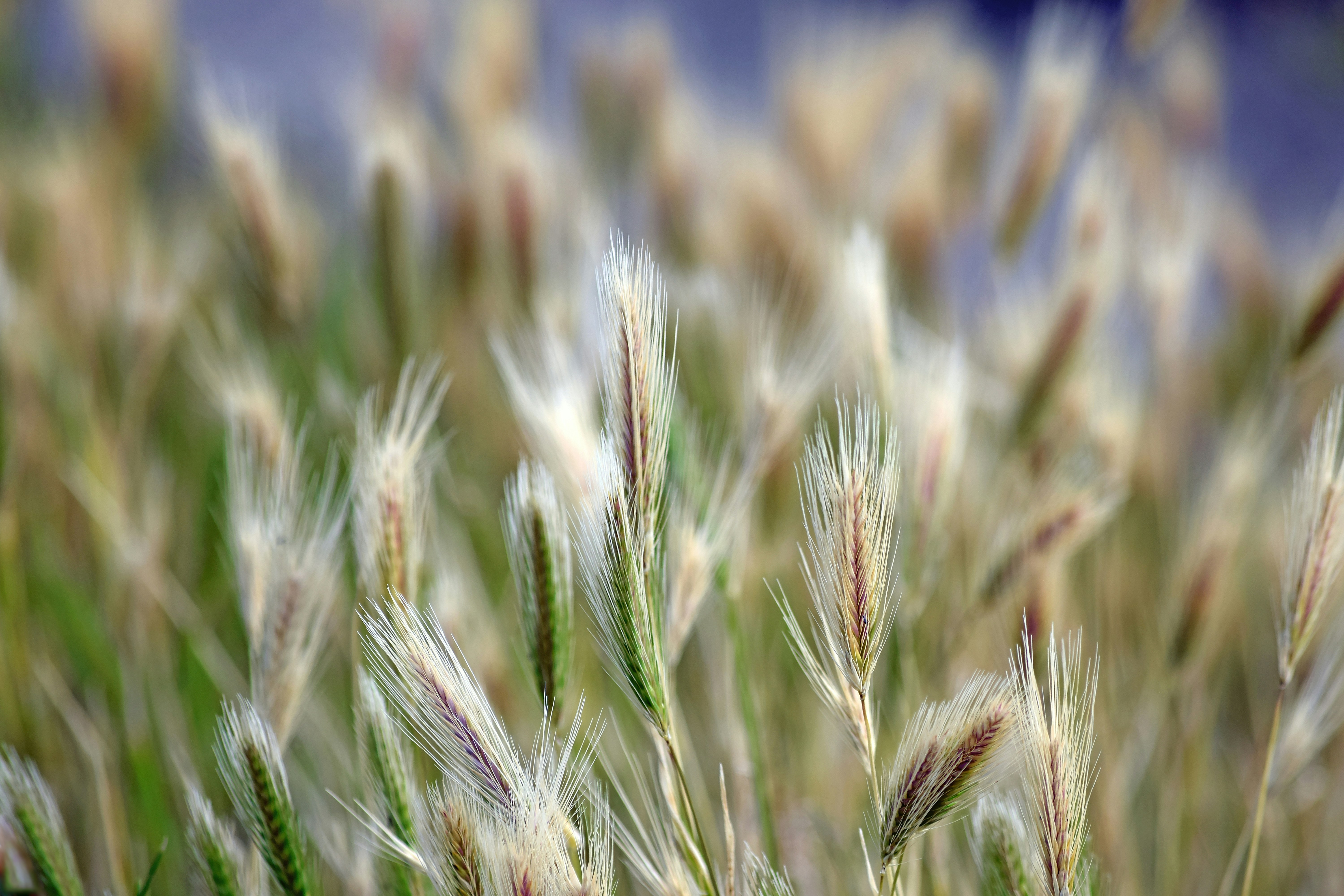 Super Simplified Stories: Aug. 22, 2025