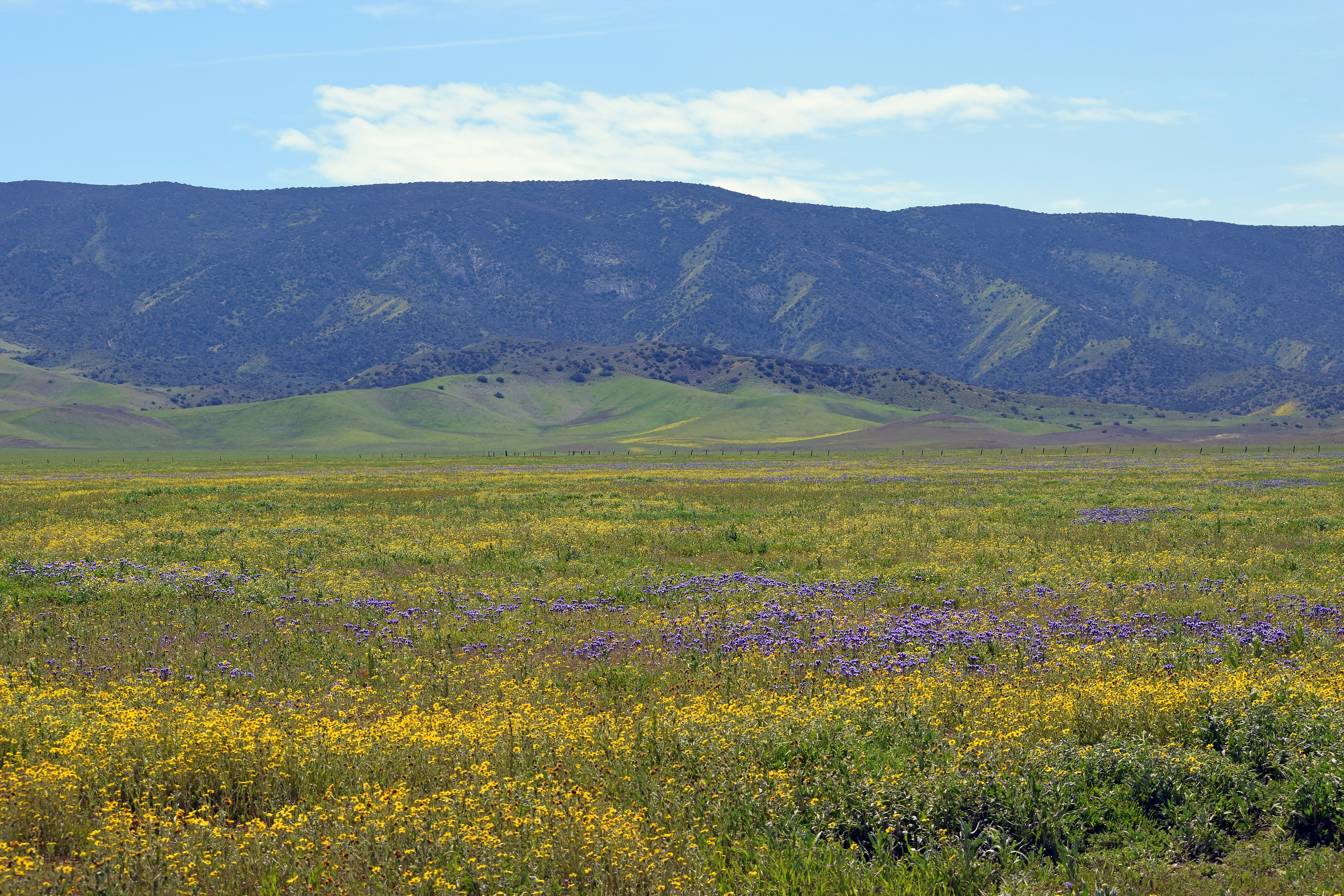 Photo by pamelaheckel