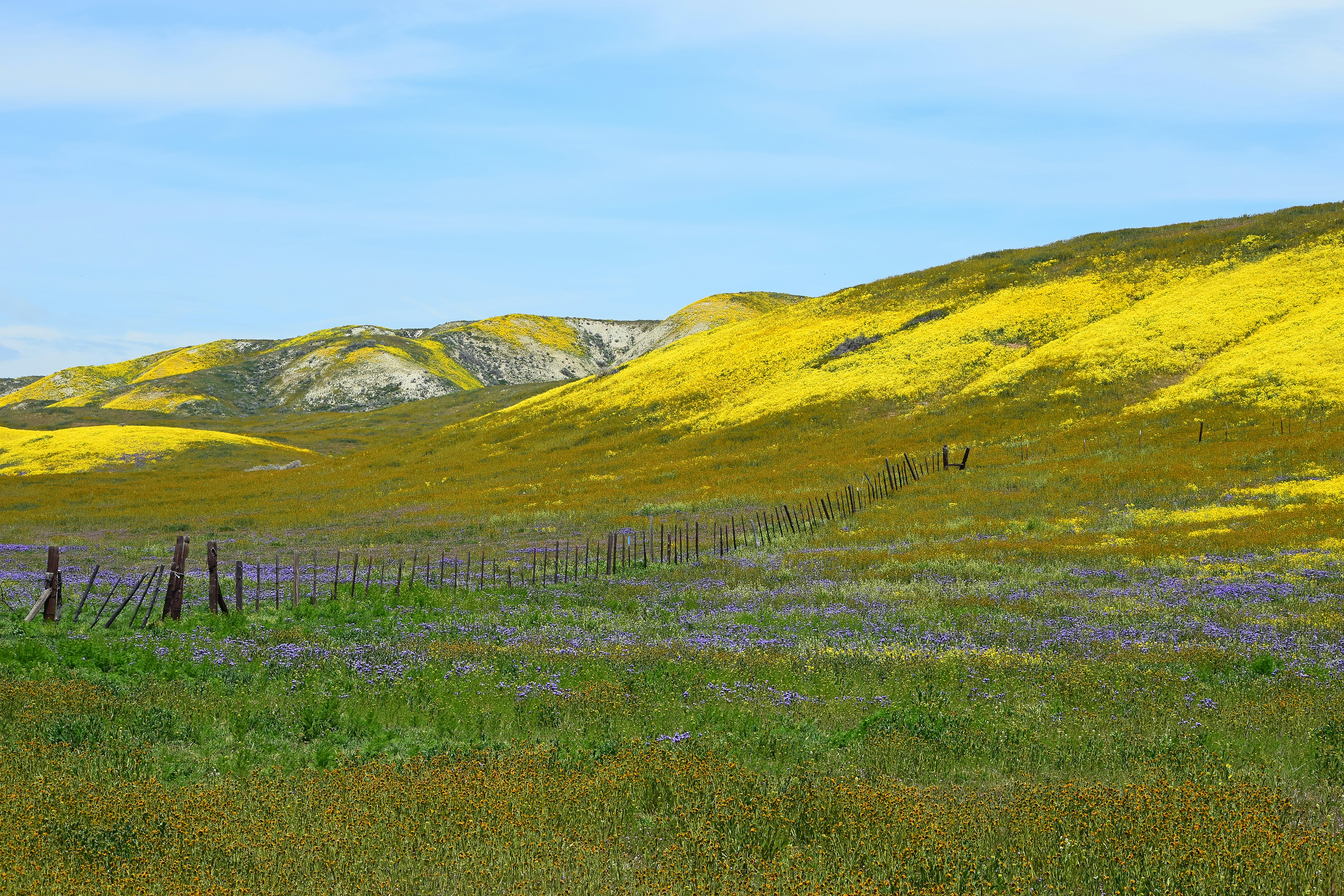 Photo by pamelaheckel