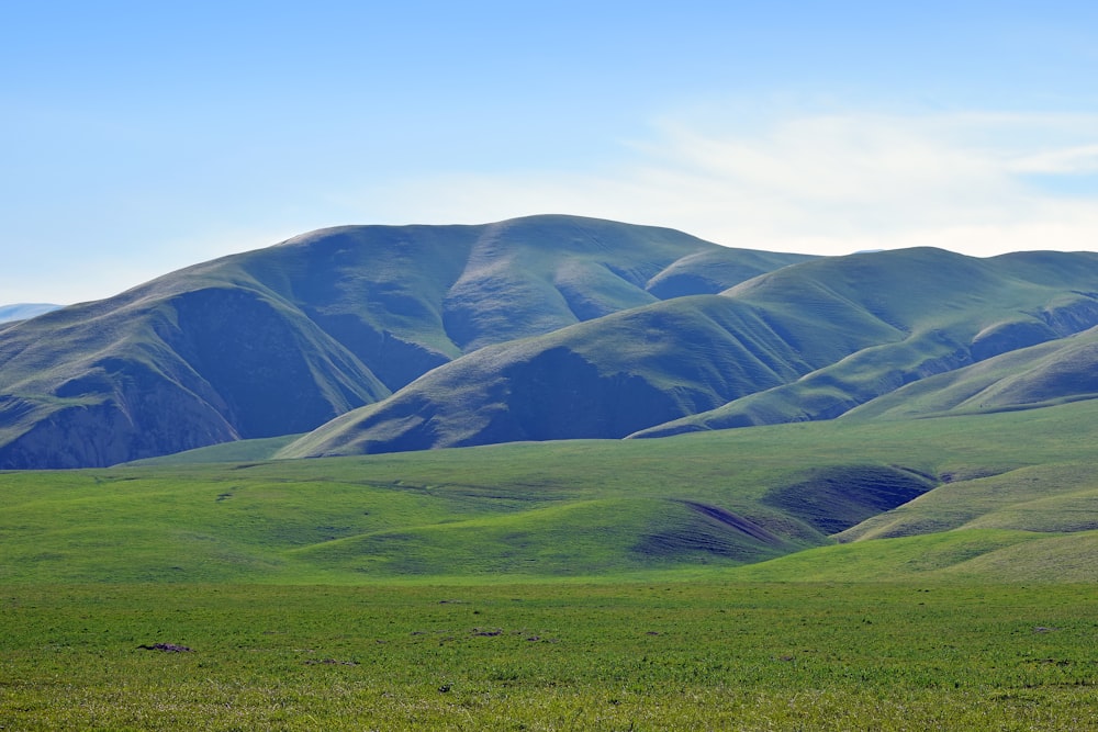 a green field with a mountain in the background