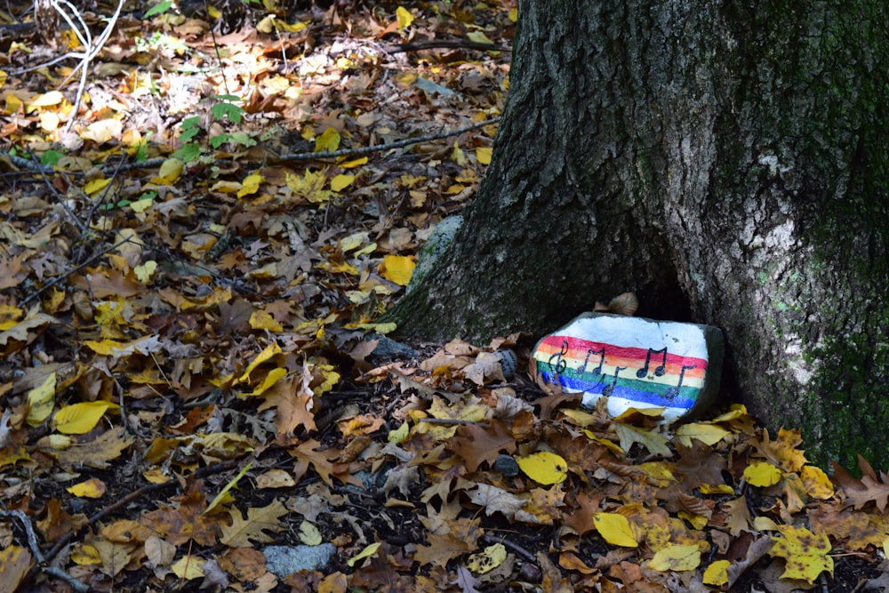 a painted rock sitting next to a tree in a forest