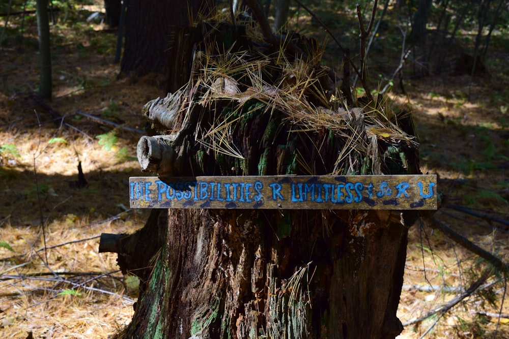 a sign that is on a tree in the woods