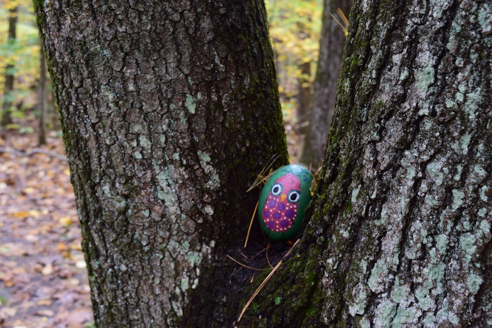 a painted rock in the trunk of a tree