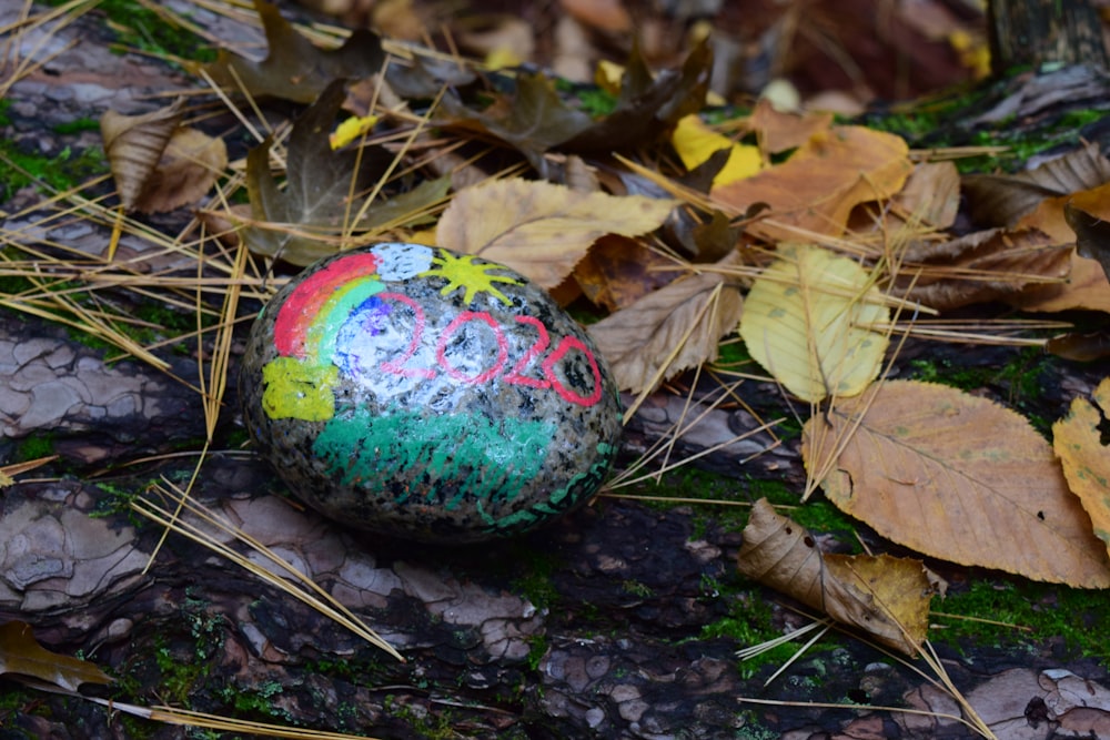 a painted rock sitting on the ground surrounded by leaves