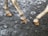 Two light-colored horse legs with hooves are standing on damp, textured ground with visible footprints and patches of water.