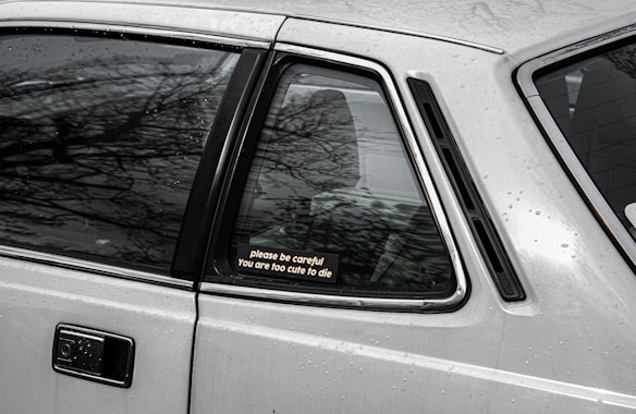 A close-up view of the rear side window of a silver car, which has drops of rain on its surface. There is a sticker on the window that reads: 'please be careful you are too cute to die'. Reflections of bare tree branches are visible on the window.