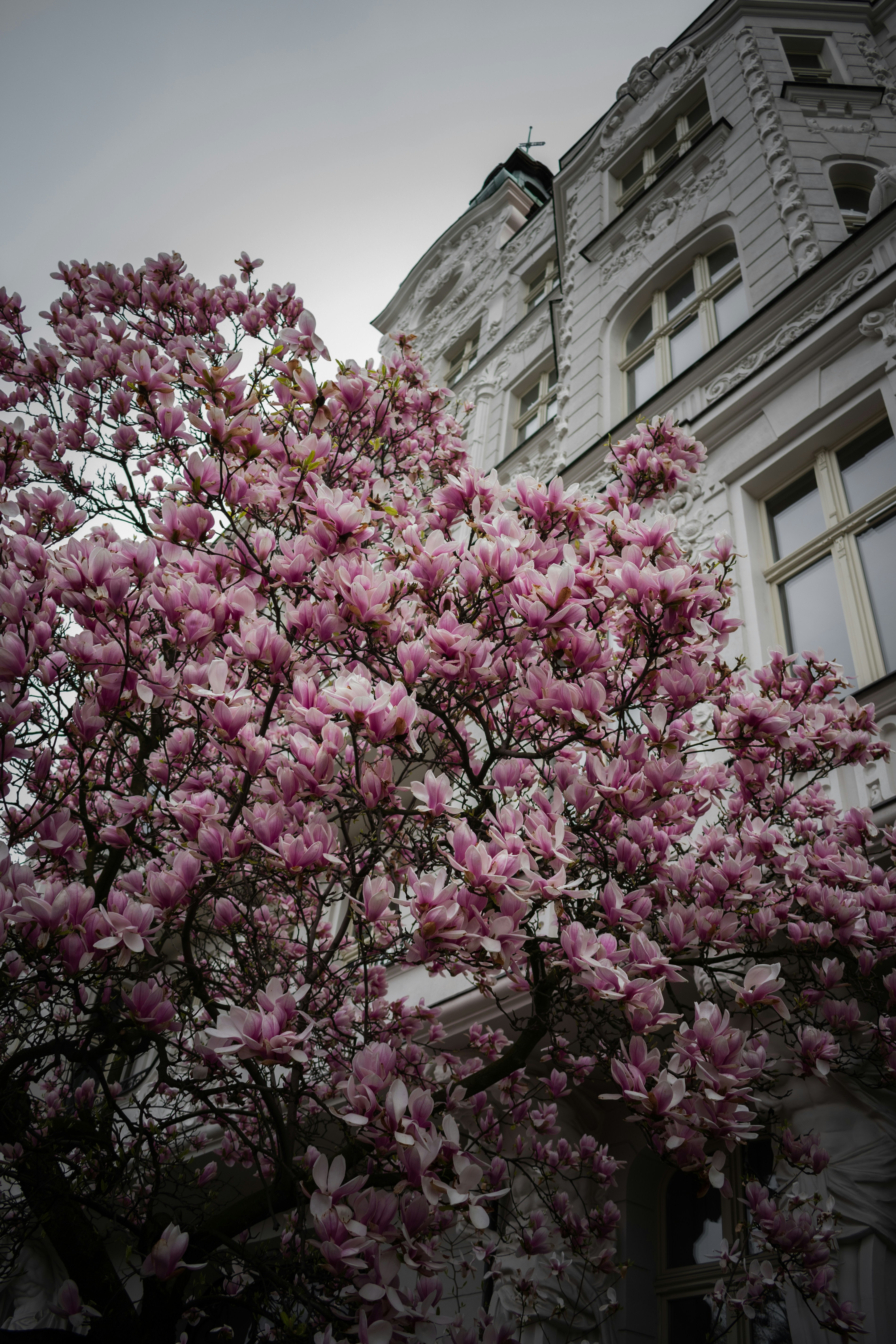Photo by vladuken