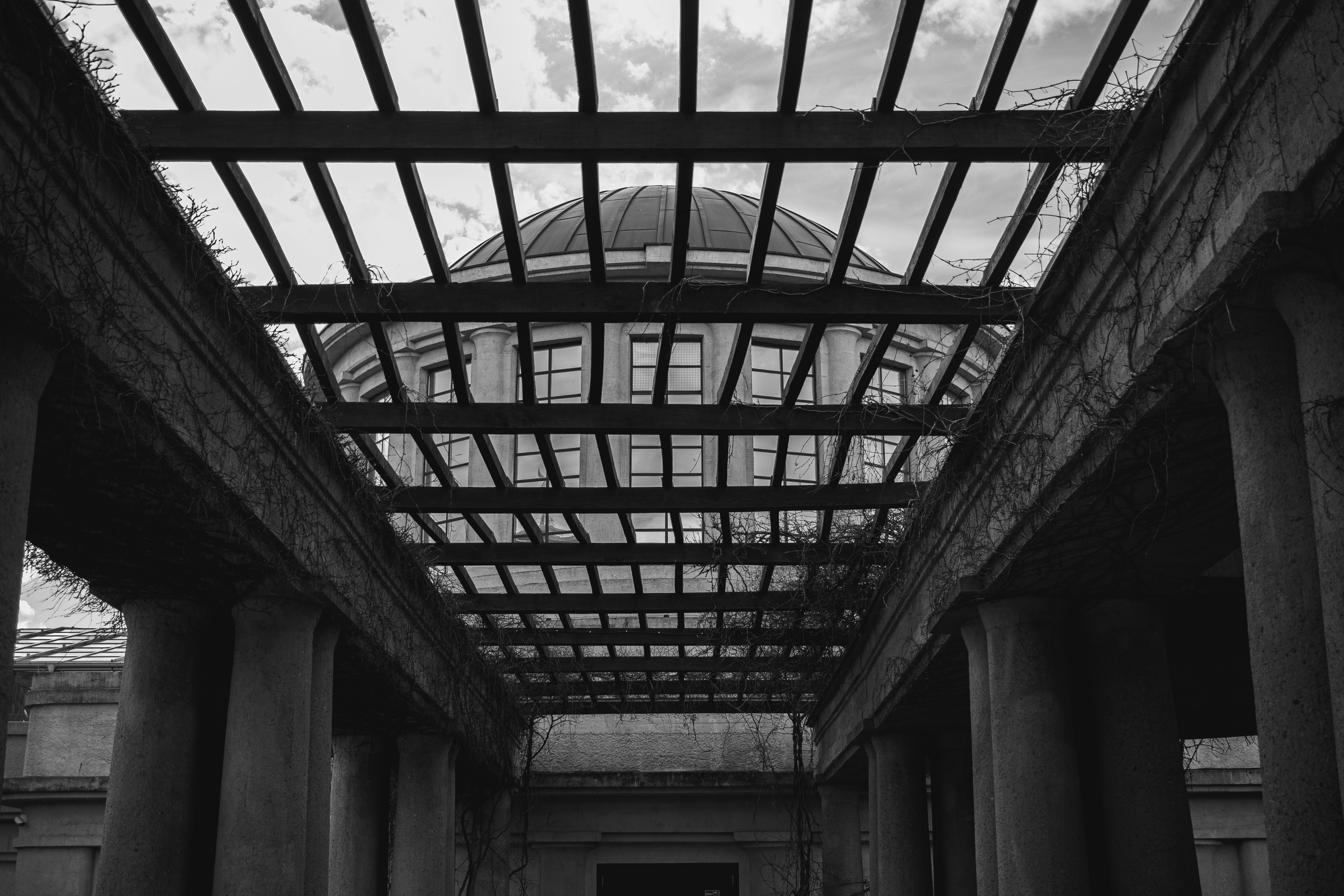 Image by Uladzislau Petrushkevich via Unsplash