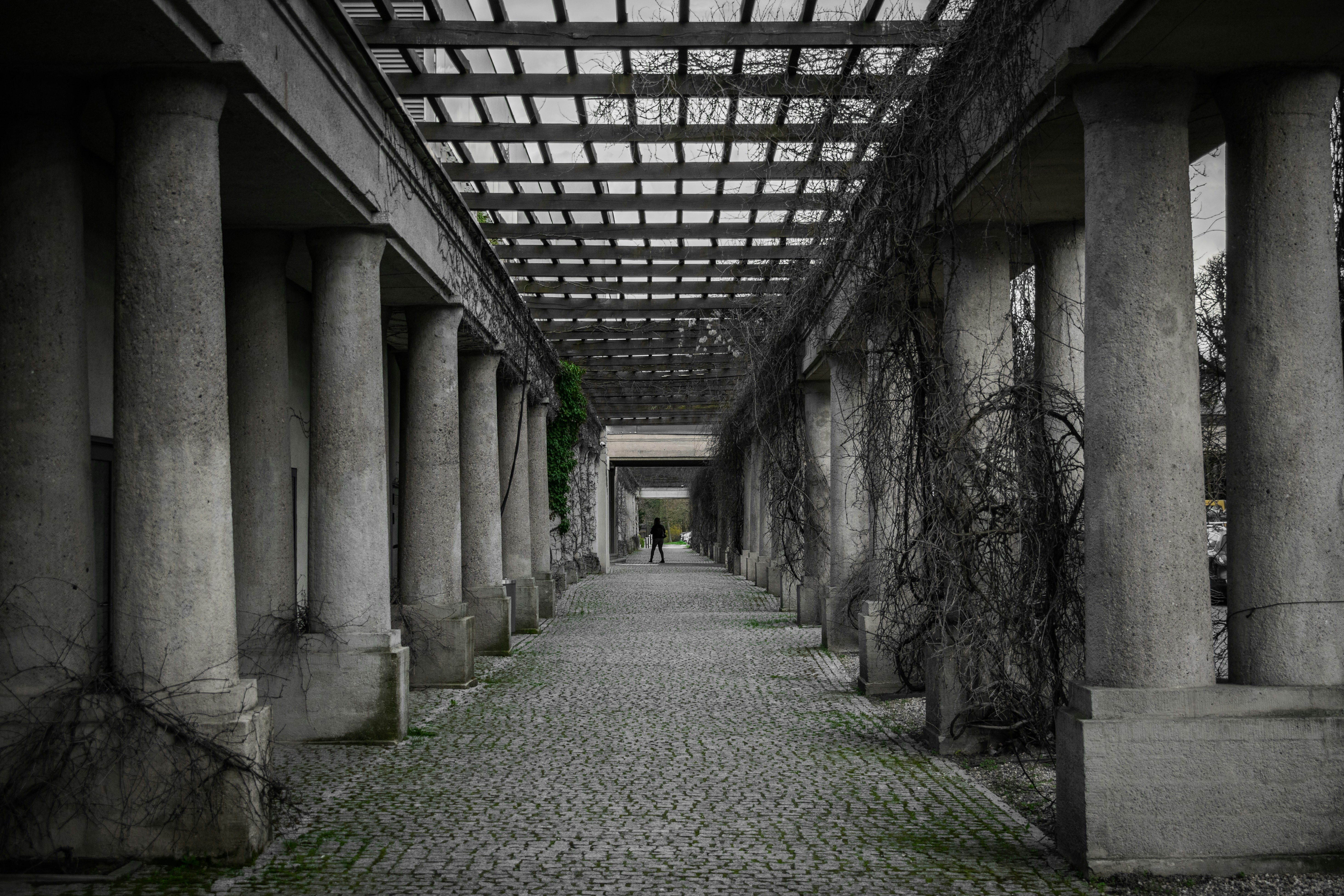 Wroclaw park