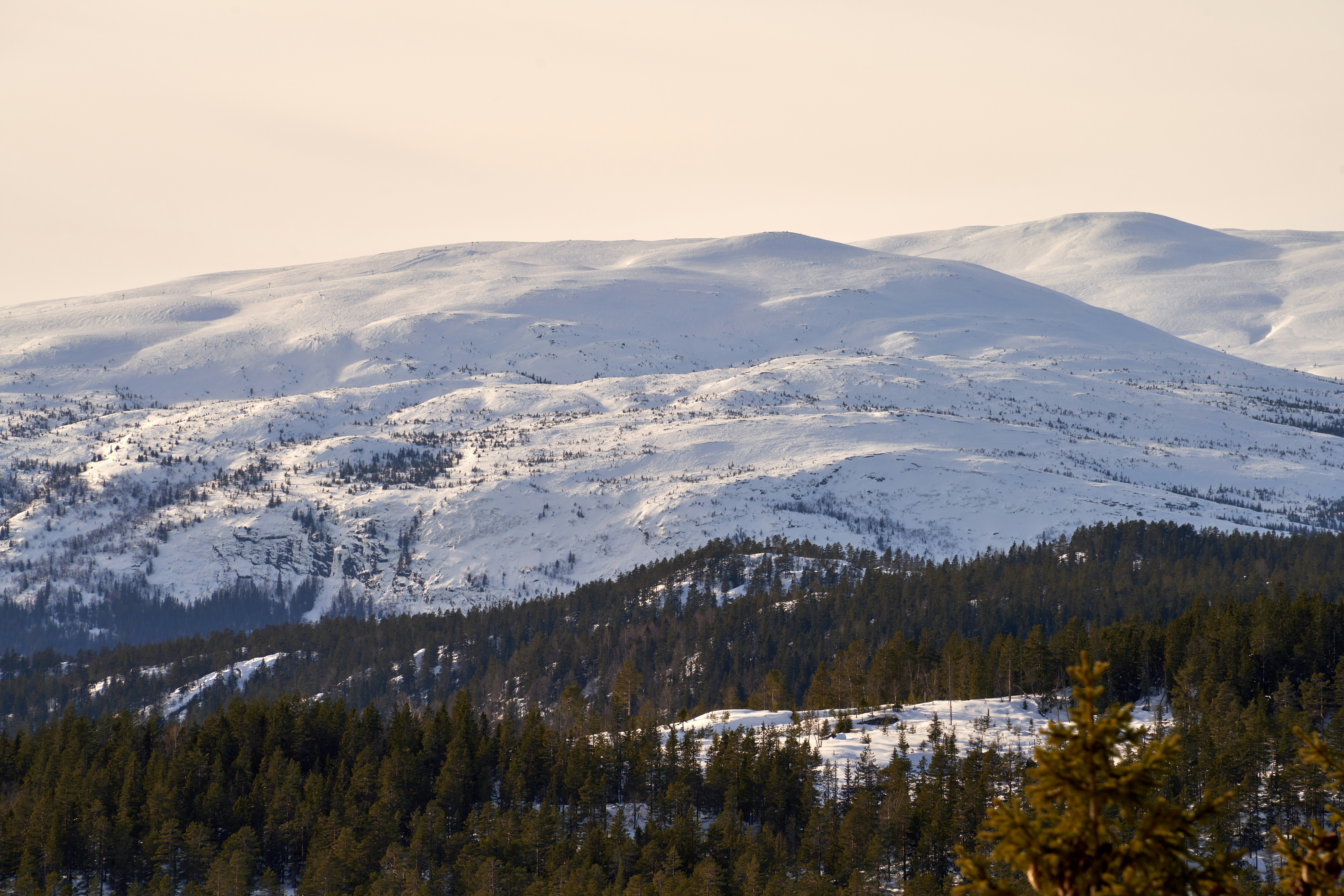 Photo by davotibarna