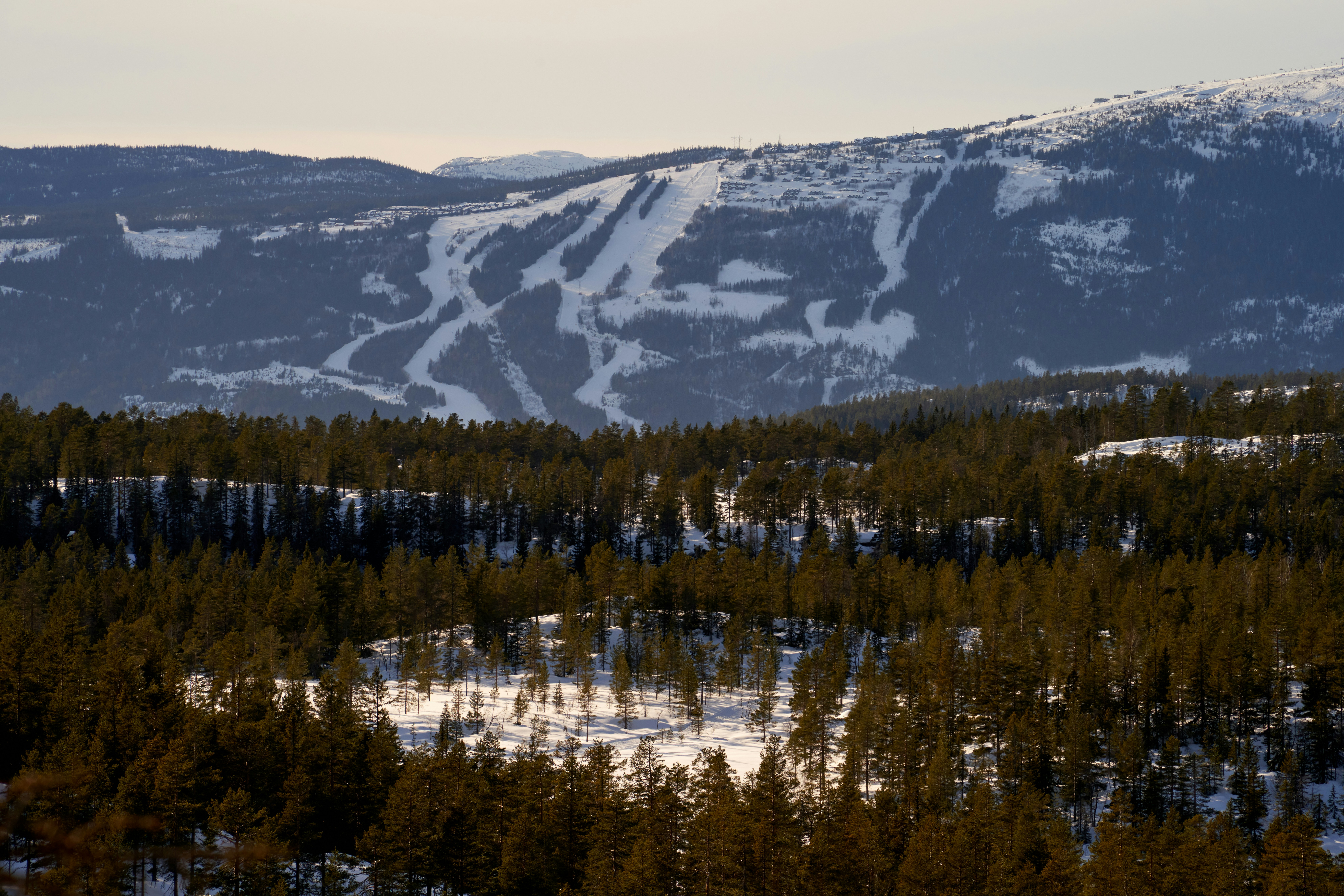 Photo by davotibarna