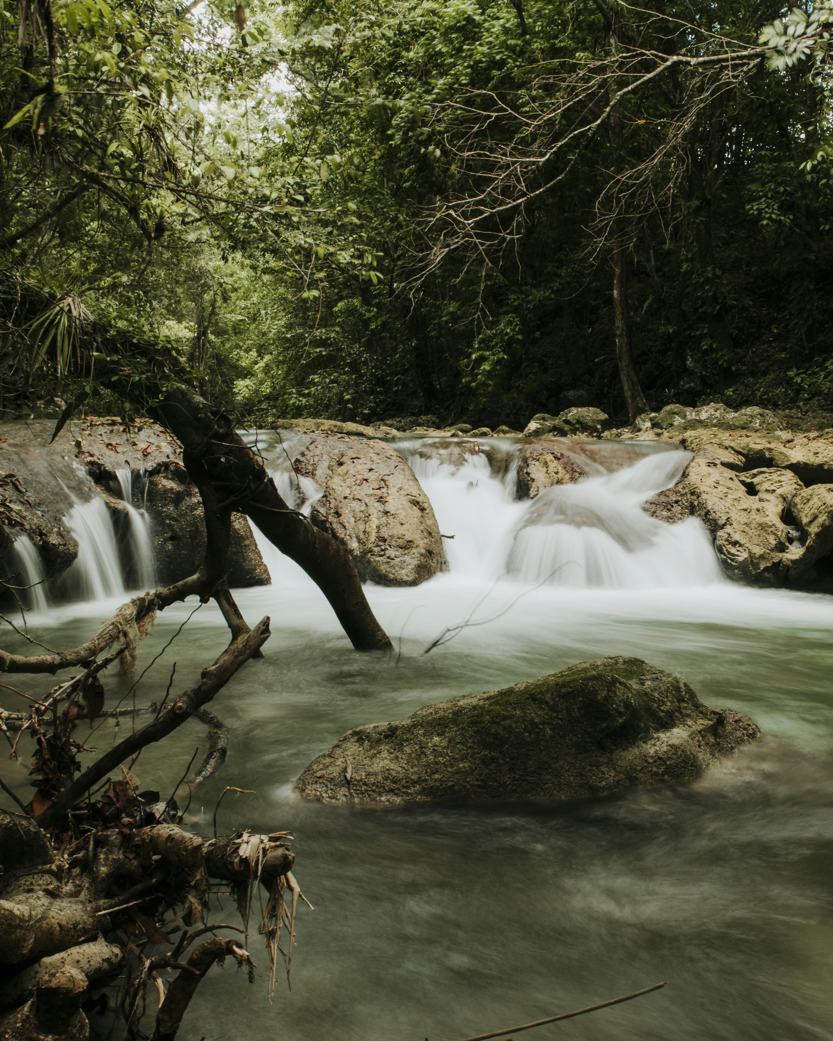 Photo by rvargasphoto