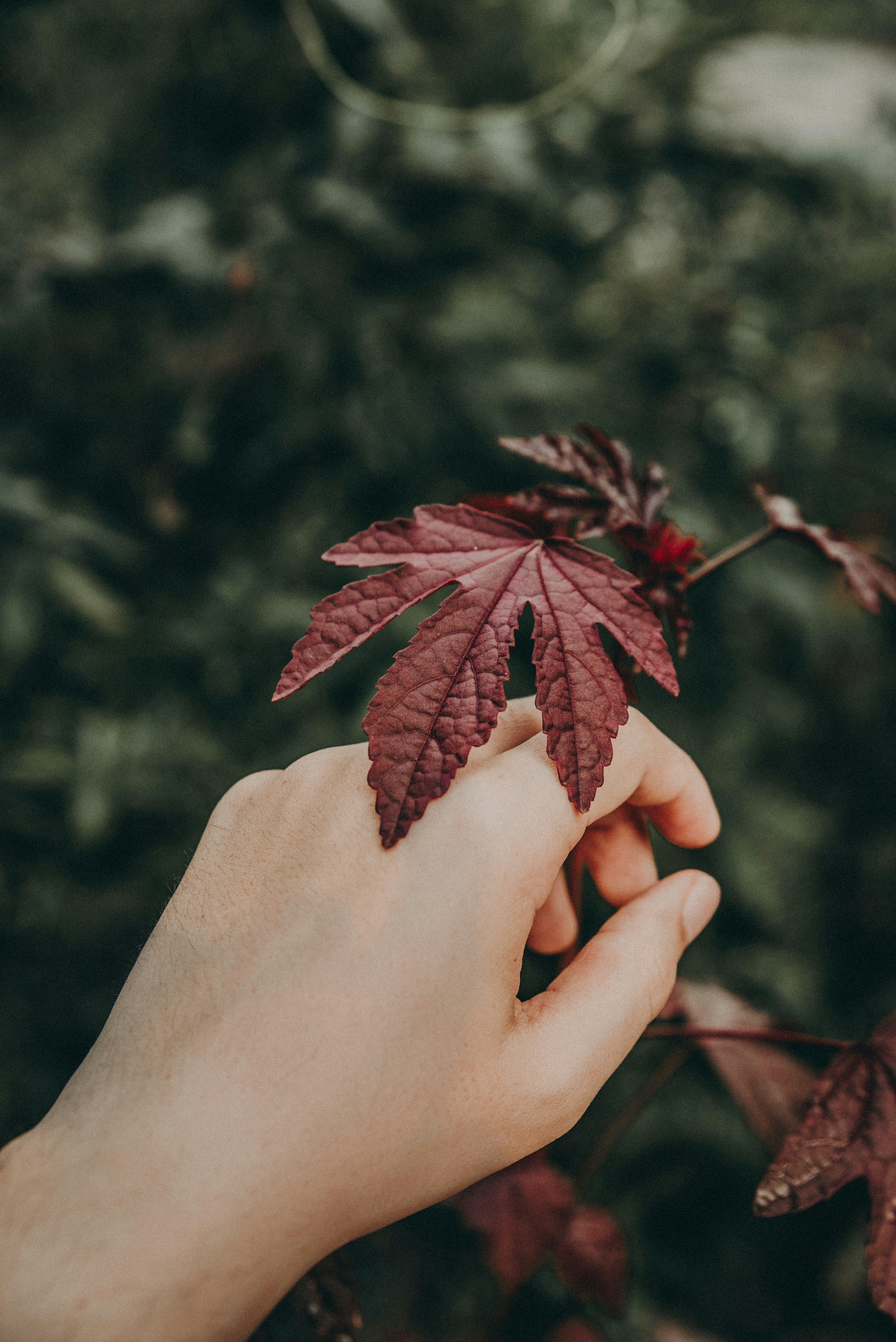 Photo by rvargasphoto