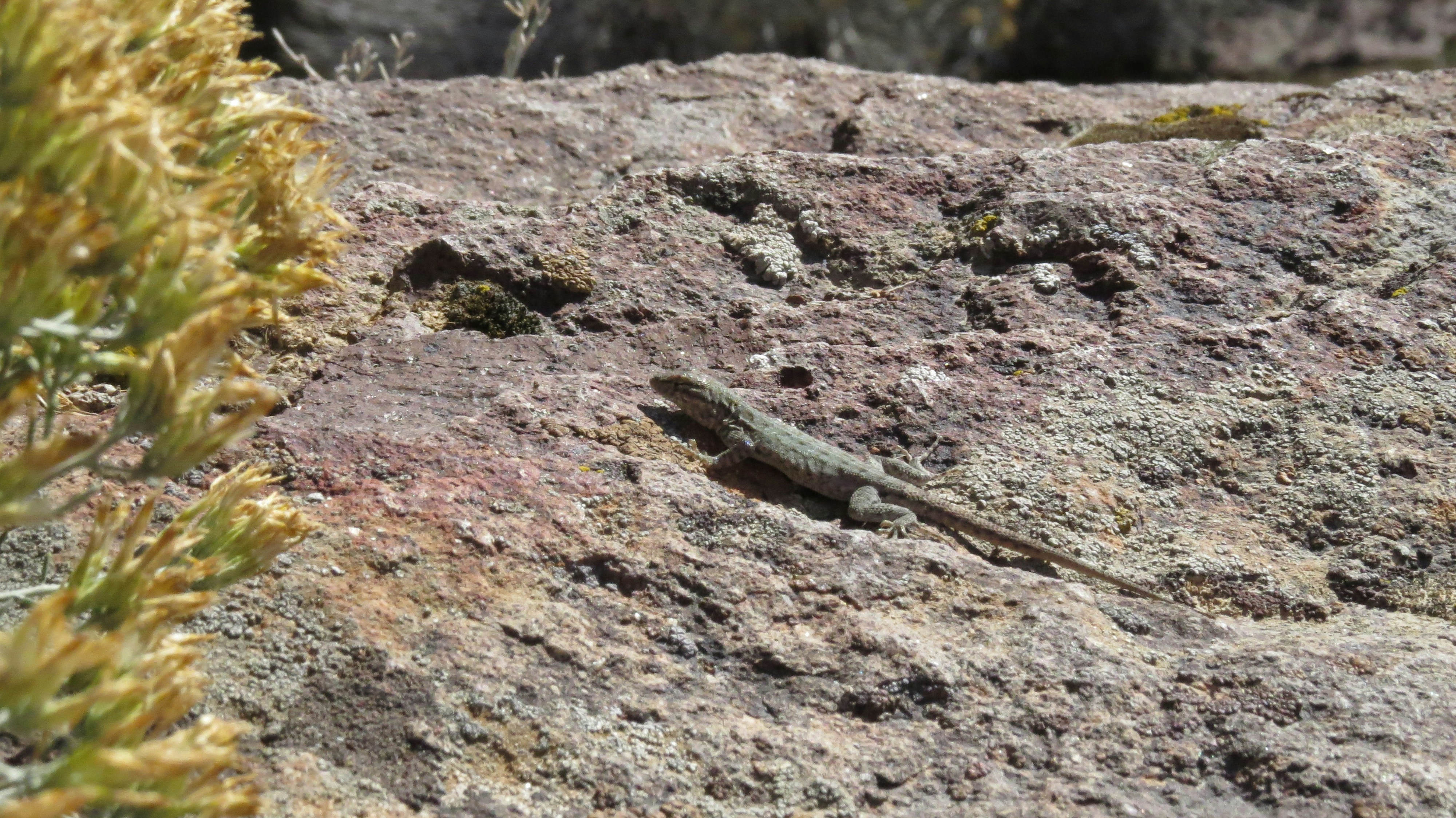 Photo by akh_artwork