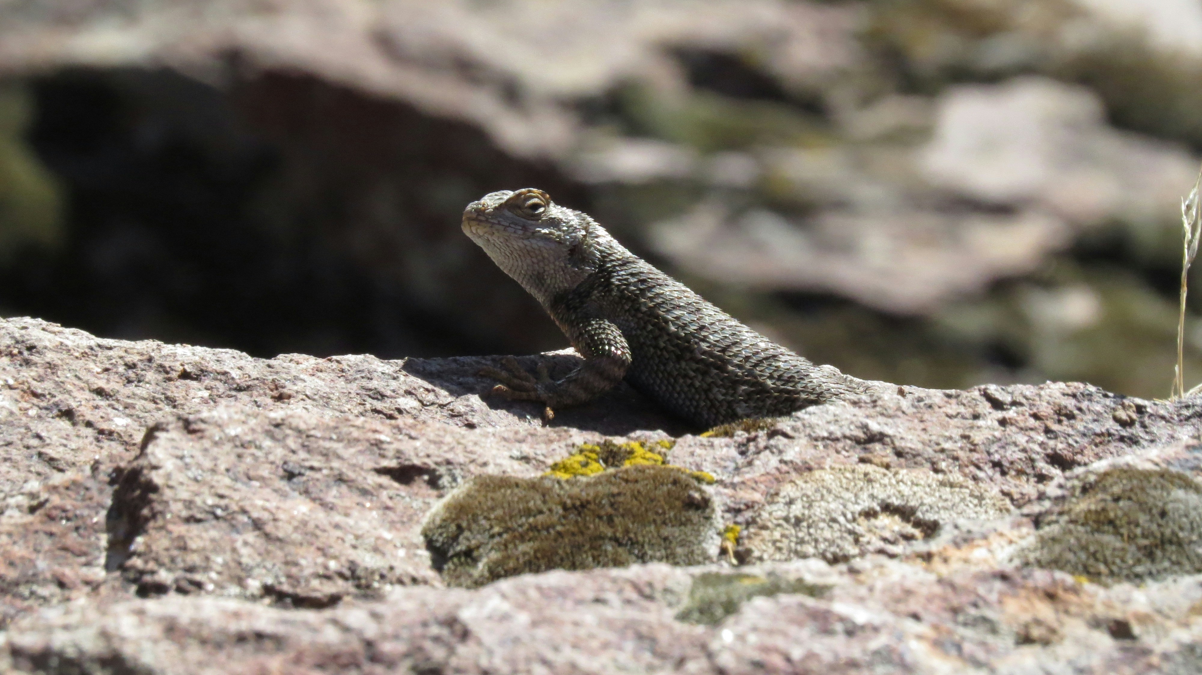 Photo by akh_artwork