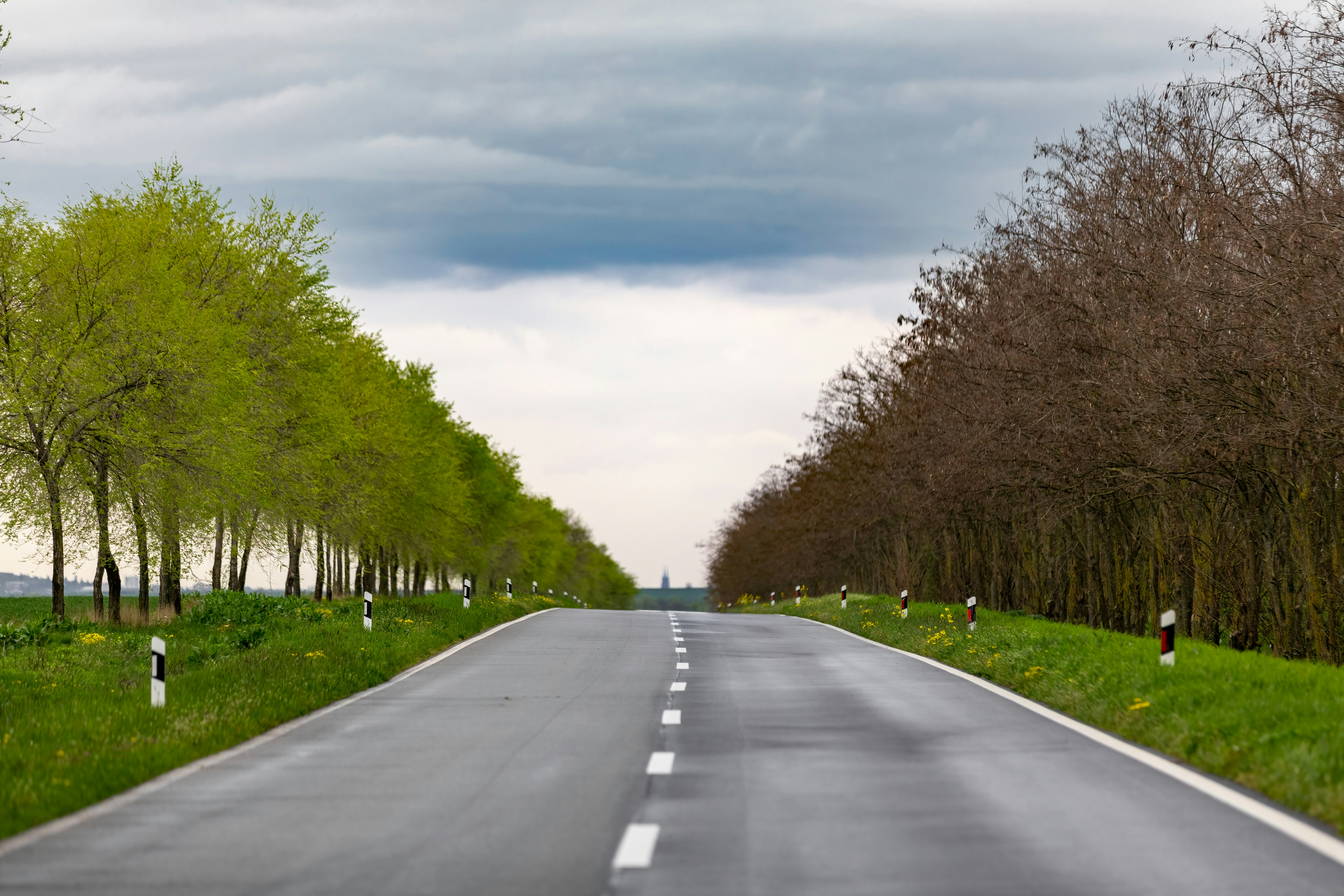 Photo by ovidiugruescu