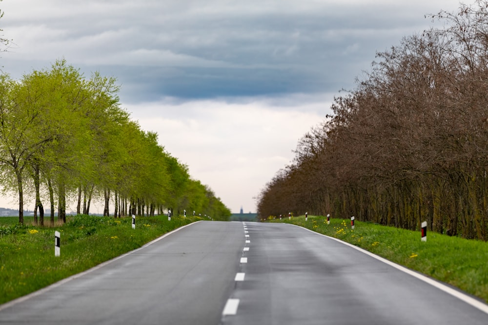 an empty road with trees lining both sides of it