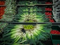 A neatly arranged display of fresh produce, including leeks, limes, and packages of tomatoes. The leeks are laid out in a circular pattern around a basket of limes, creating an eye-catching design. The shelves in the background are filled with rows of tomatoes, adding vibrant red tones to the scene.
