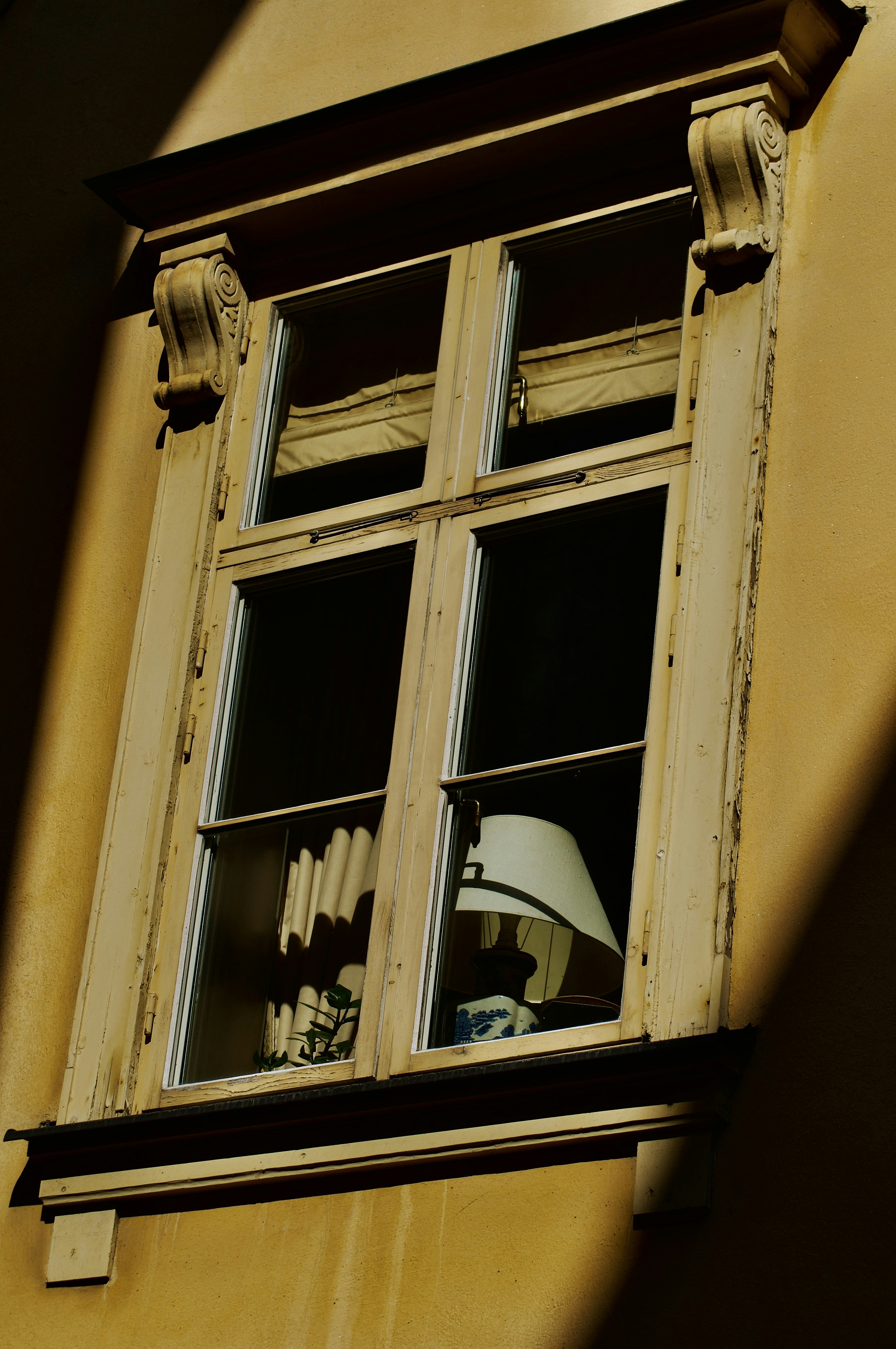 Photo by alexanderphotography