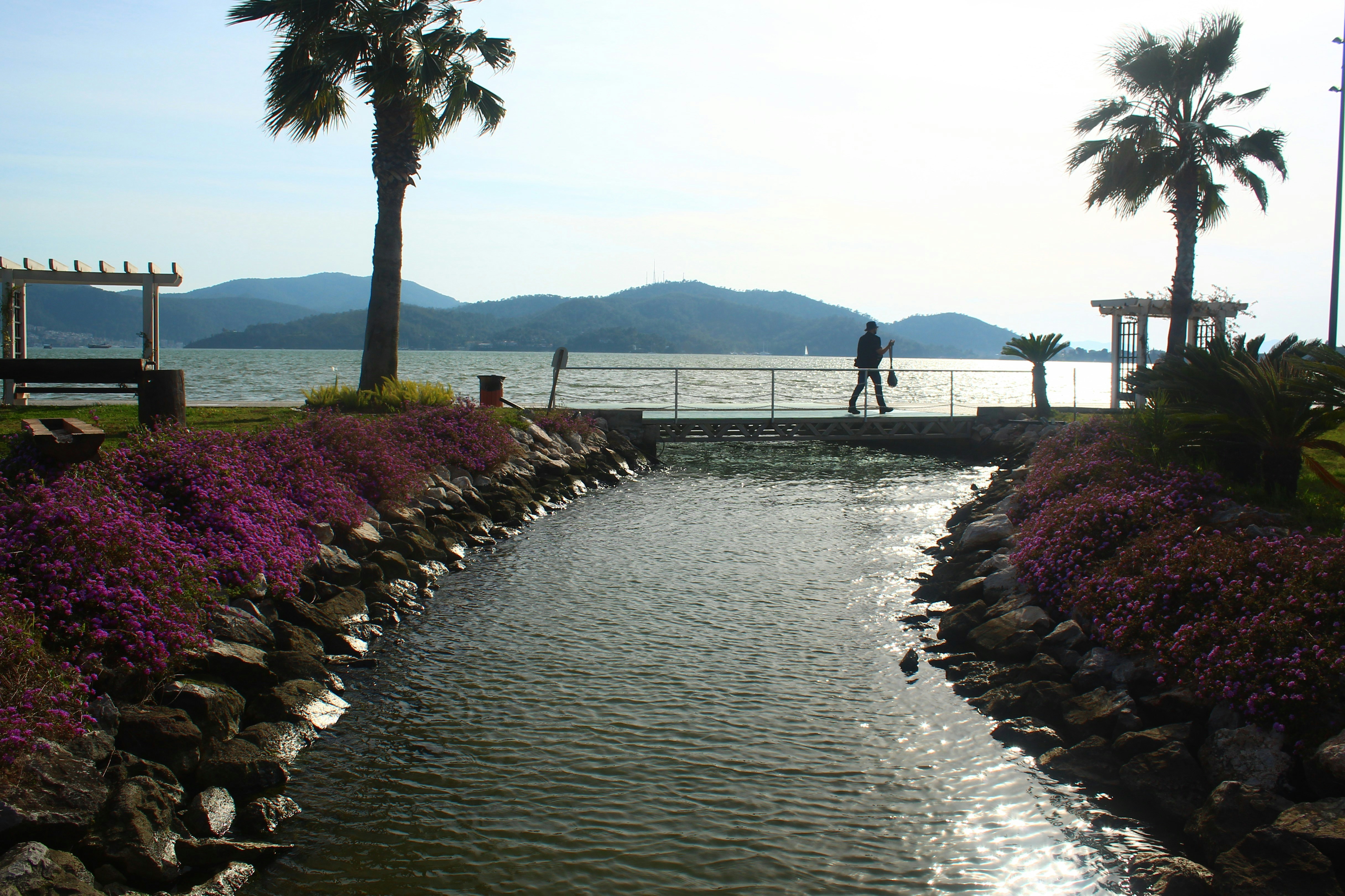 a man standing on a dock next to a body of water