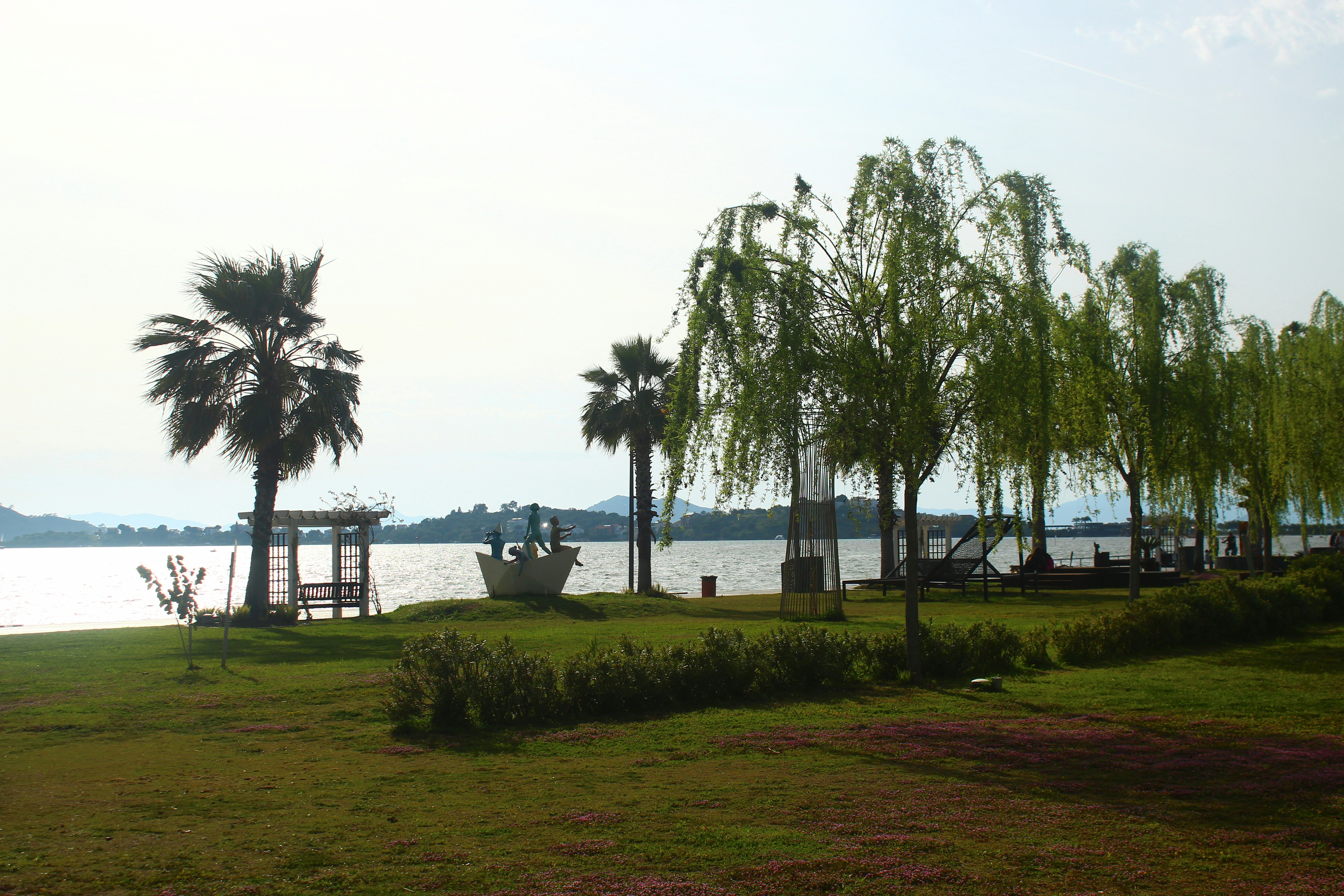 a row of palm trees next to a body of water