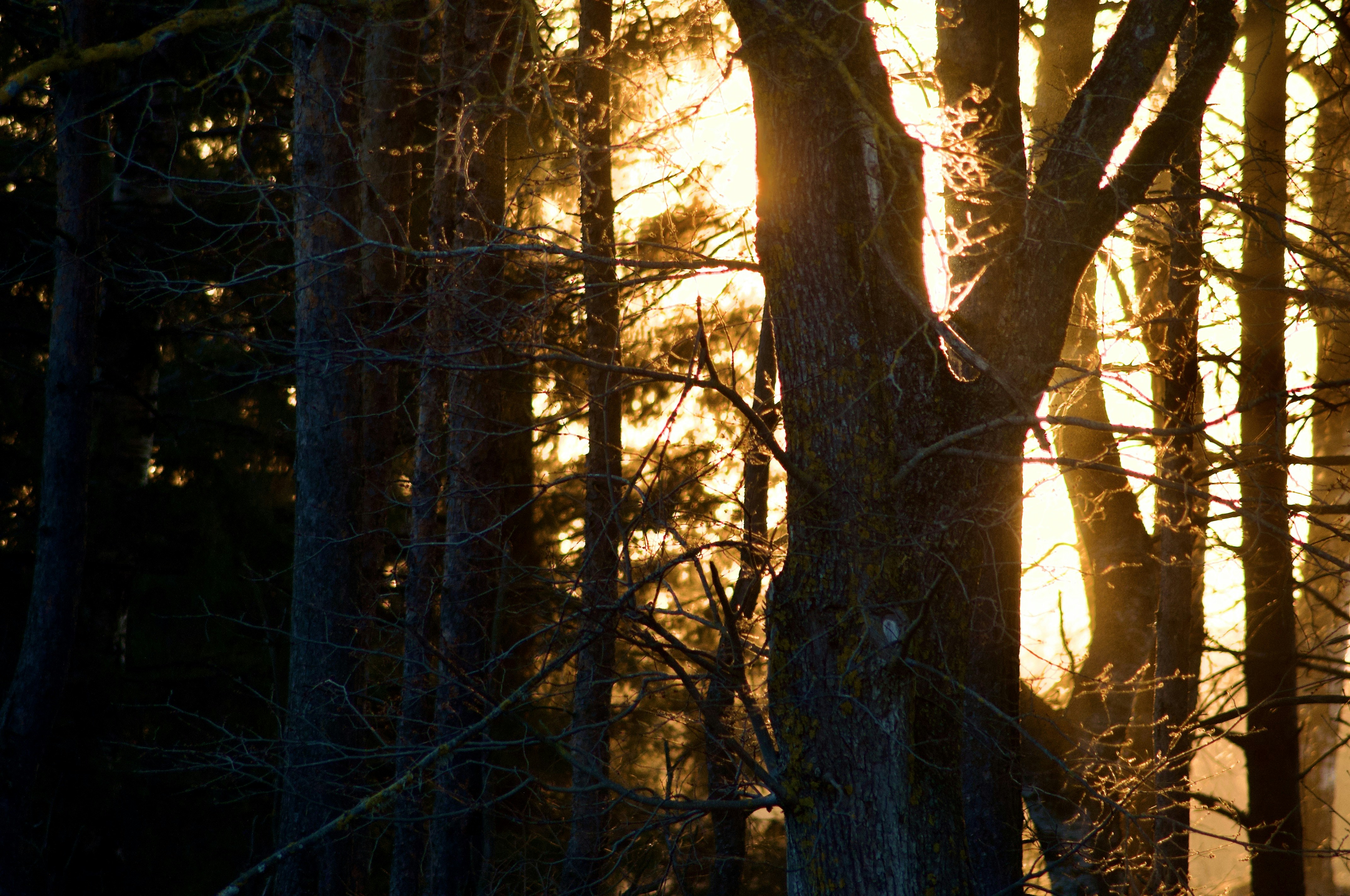 Photo by alexanderphotography