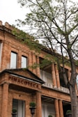 The image features a historic brick building with classical columns and large windows, partially obscured by a leafy tree in the foreground. The structure has a sign that reads 'PINACOTECA' above its entrance, suggesting it is an art gallery or museum.