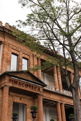 The image features a historic brick building with classical columns and large windows, partially obscured by a leafy tree in the foreground. The structure has a sign that reads 'PINACOTECA' above its entrance, suggesting it is an art gallery or museum.