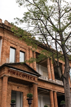 The image features a historic brick building with classical columns and large windows, partially obscured by a leafy tree in the foreground. The structure has a sign that reads 'PINACOTECA' above its entrance, suggesting it is an art gallery or museum.