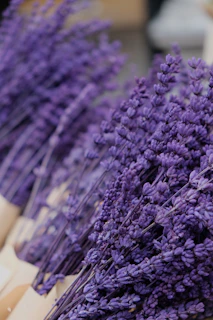 a bunch of purple flowers sitting on top of a table