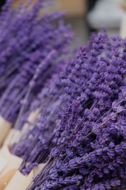 a bunch of purple flowers sitting on top of a table