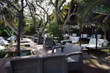A scenic outdoor lounge area featuring wicker furniture set on a wooden deck amidst lush greenery. White lounge chairs and sofas are arranged neatly, offering a comfortable seating space under the shade of tall palm trees. Decorative hanging plants add to the tropical ambiance.