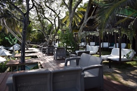 A scenic outdoor lounge area featuring wicker furniture set on a wooden deck amidst lush greenery. White lounge chairs and sofas are arranged neatly, offering a comfortable seating space under the shade of tall palm trees. Decorative hanging plants add to the tropical ambiance.