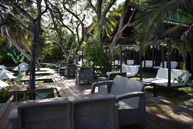 A scenic outdoor lounge area featuring wicker furniture set on a wooden deck amidst lush greenery. White lounge chairs and sofas are arranged neatly, offering a comfortable seating space under the shade of tall palm trees. Decorative hanging plants add to the tropical ambiance.