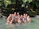 A group of women smiling and walking together in a lush green forest during a sunny day.